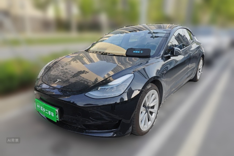 Tesla Model 3 2022 #2 Tesla Model 3 2022 car image #2