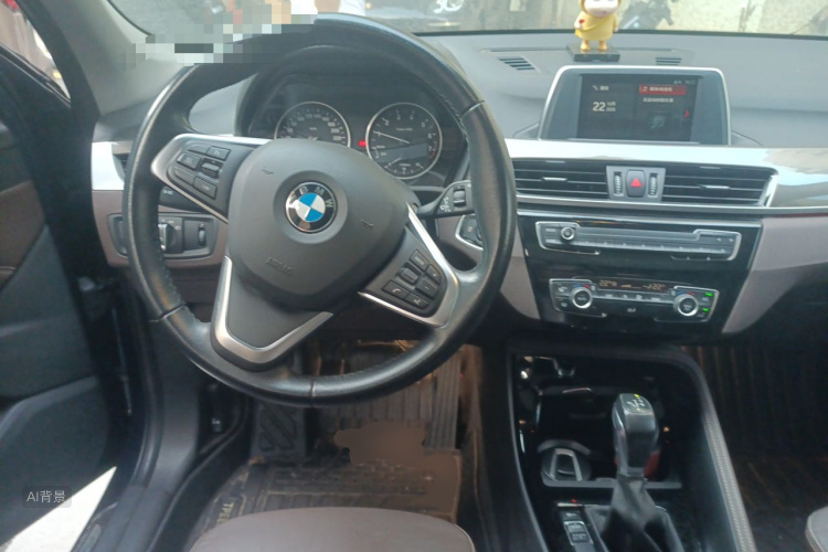 BMW X1 2018 car image #12