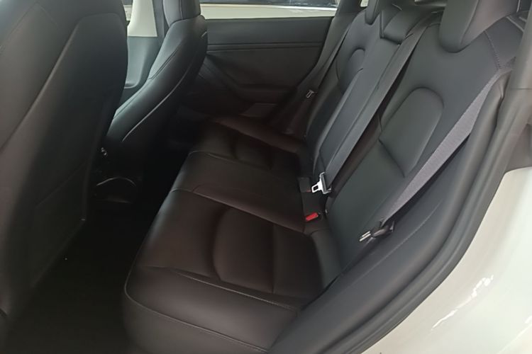 Tesla Model 3 2023 car image #13
