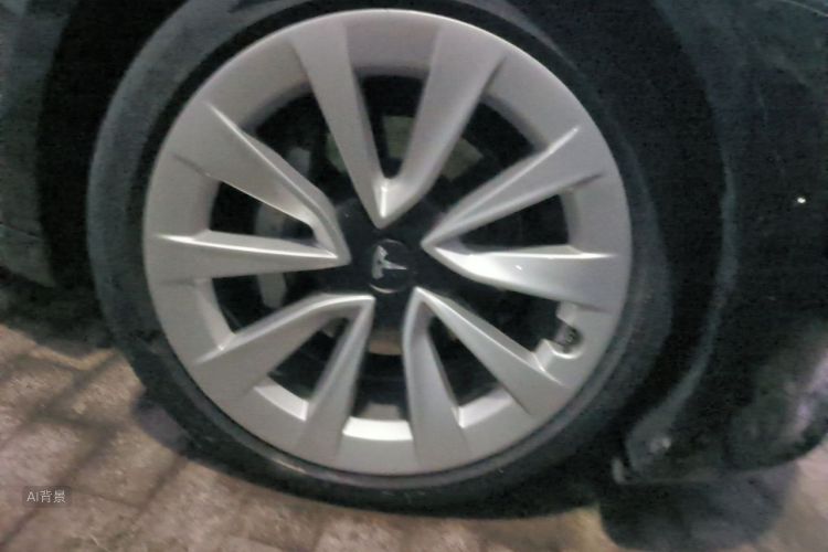 Tesla Model 3 2022 immagine di auto #9