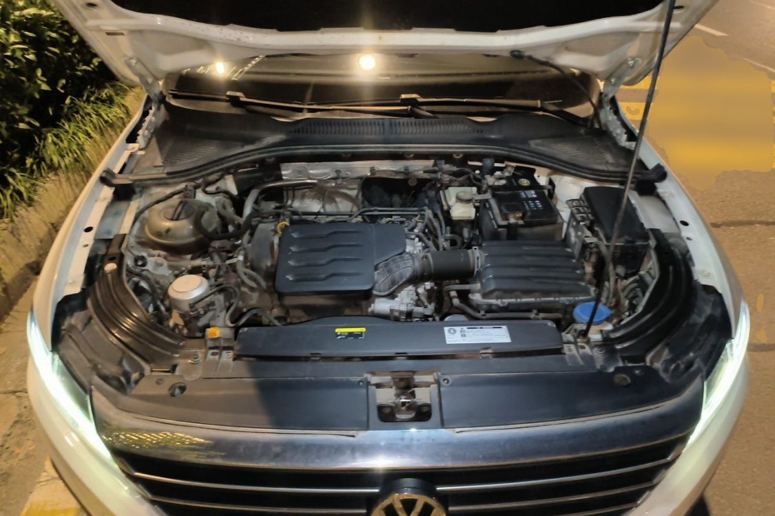 Volkswagen Lavida 2019 car image #10
