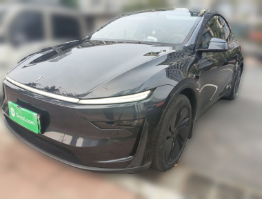 Tesla Model Y 2025 Tesla Model Y 2025 car image