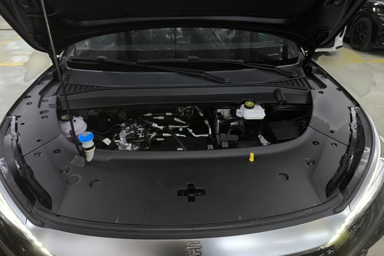 BYD Yuan Plus 2024 car image #20