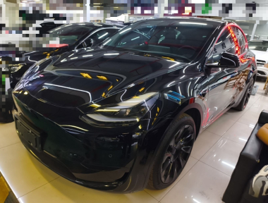 Tesla Model Y 2022 car image 