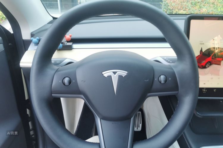 Tesla Model Y 2023 car image #13