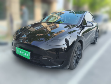Tesla Model Y 2021 Tesla Model Y 2021 car image