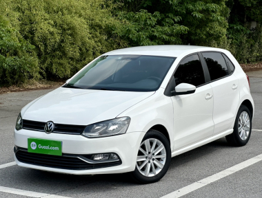 Volkswagen Polo 2015 Volkswagen Polo 2015 car image