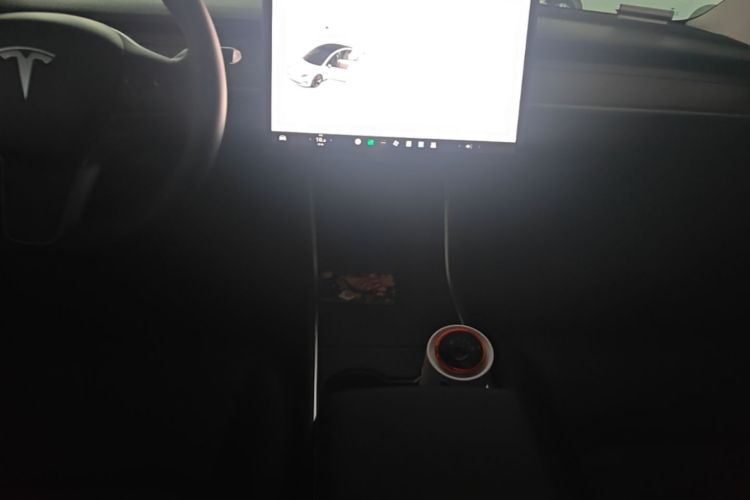 Tesla Model 3 2020 car image #10