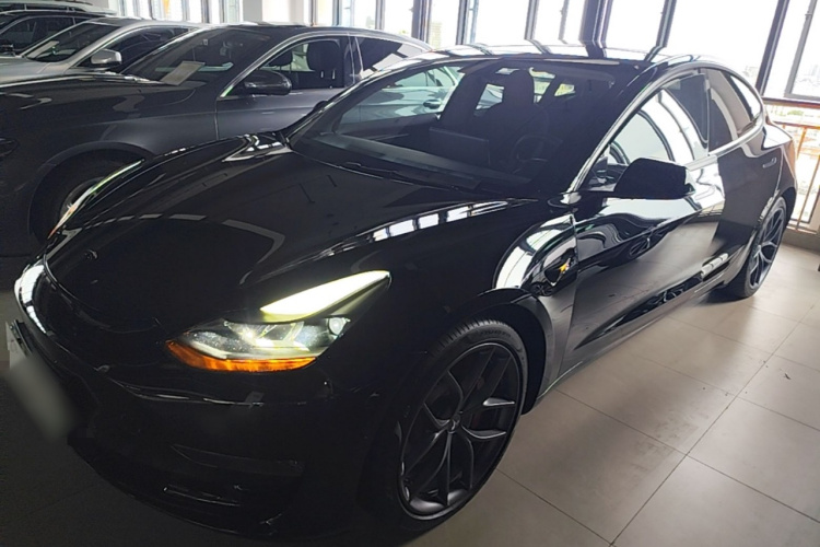 Tesla Model 3 2021 #2 Tesla Model 3 2021 car image #2