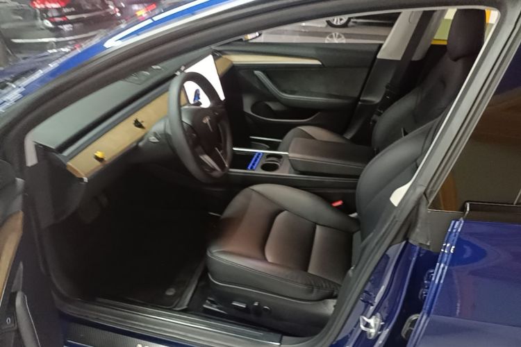 Tesla Model 3 2021 car image #15