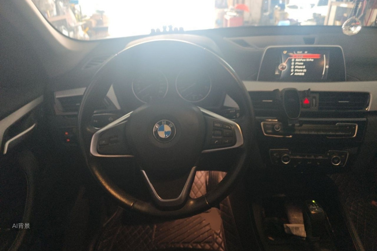 BMW X1 2017 car image #12