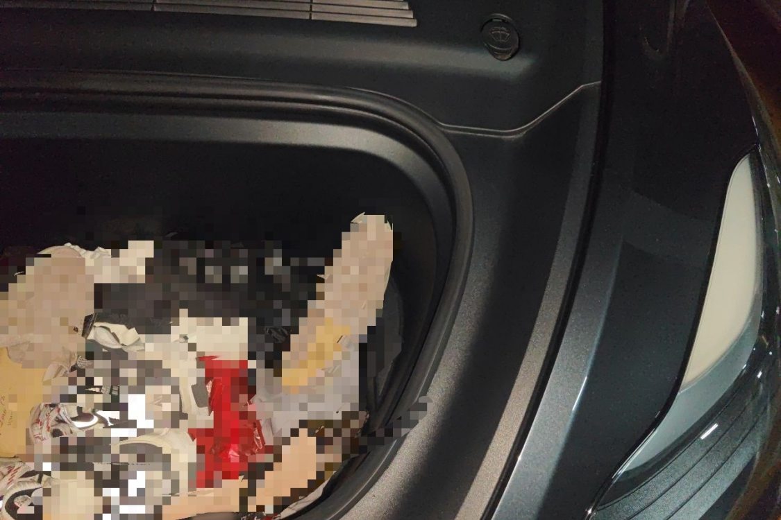 Tesla Model Y 2024 car image #12