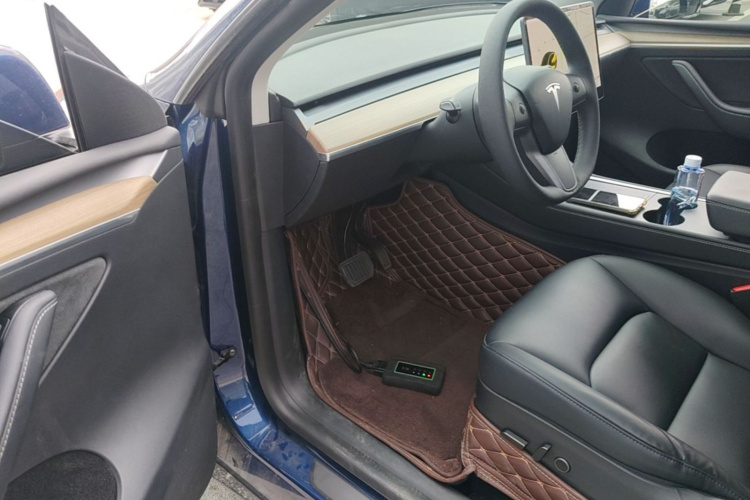Tesla Model Y 2021 car image #16