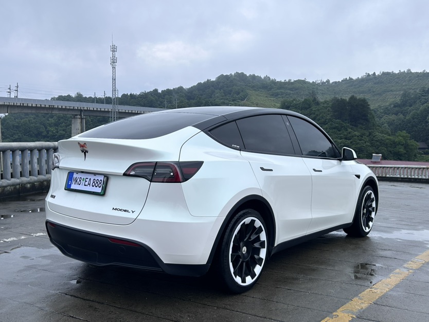 Tesla Model Y 2021 #16 Tesla Model Y 2021 car image #16