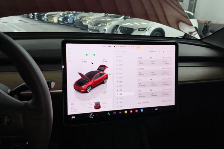 Tesla Model Y 2022 #13 Tesla Model Y 2022 car image #13