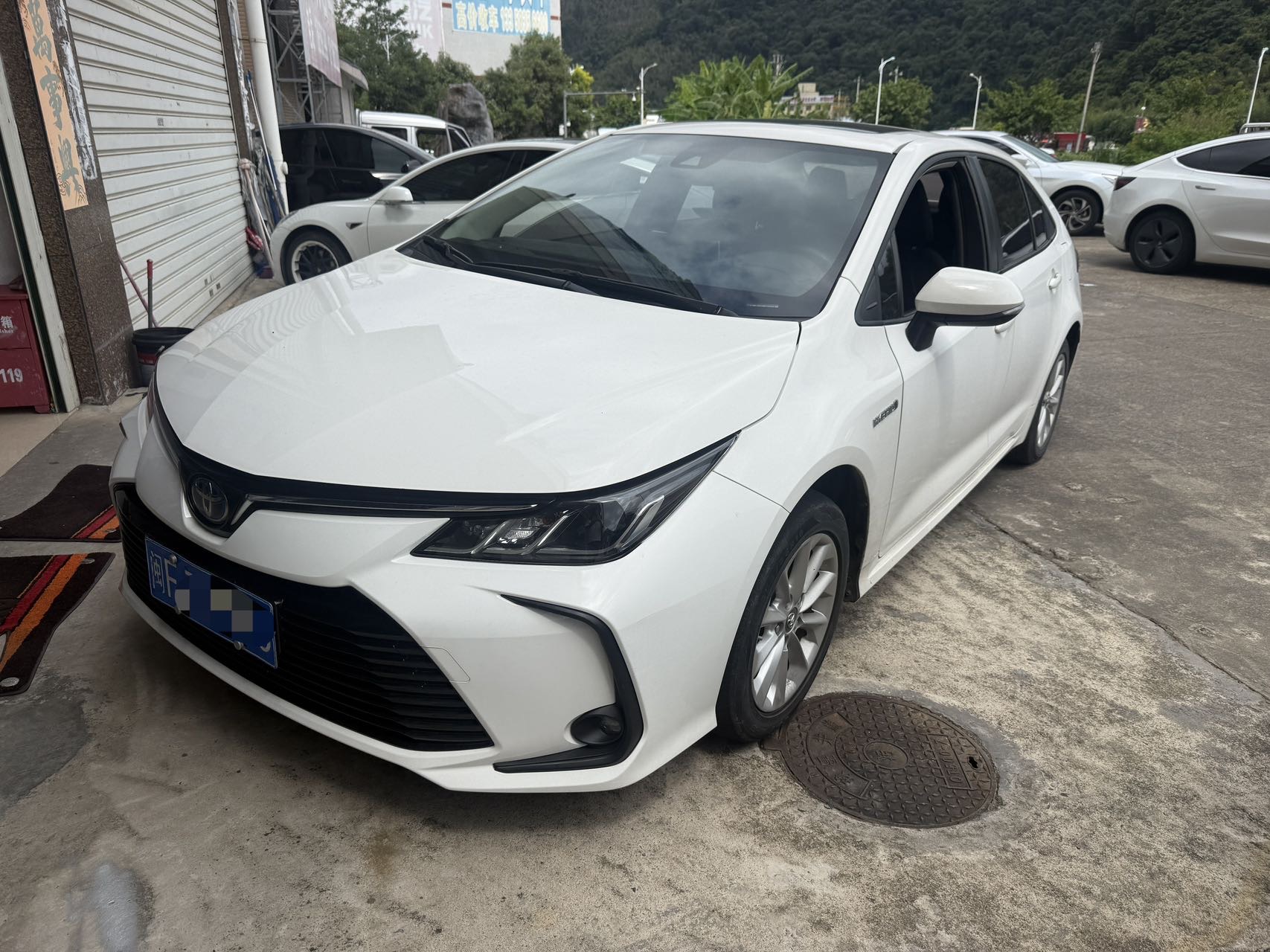 Toyota Corolla 2021 car image 