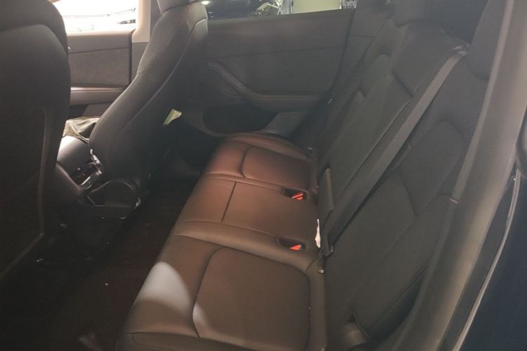 Tesla Model Y 2021 car image #17