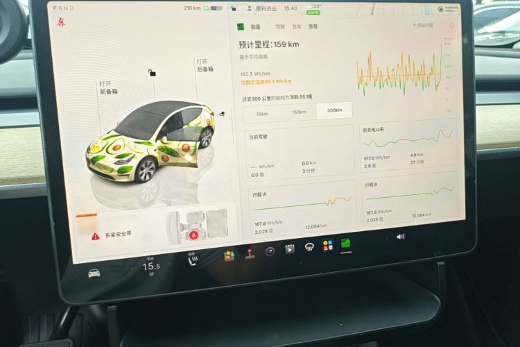 Tesla Model Y 2022 car image #13