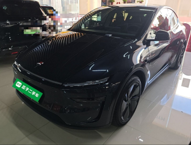 Tesla Model Y 2025 Tesla Model Y 2025 car image