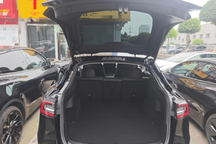 Tesla Model Y 2023 #19 Tesla Model Y 2023 car image #19