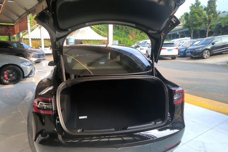 Tesla Model 3 2021 immagine di auto #19