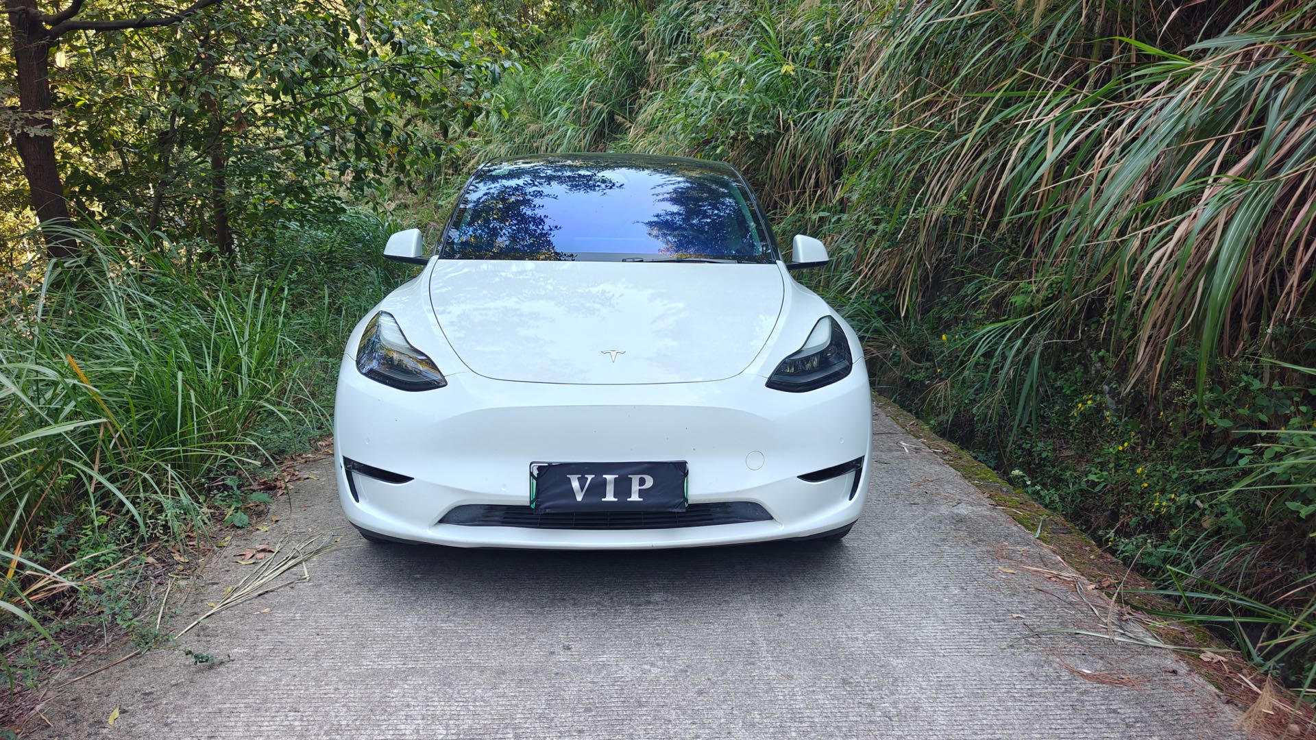 Tesla Model Y 2021 #2 Tesla Model Y 2021 imagen de coche #2