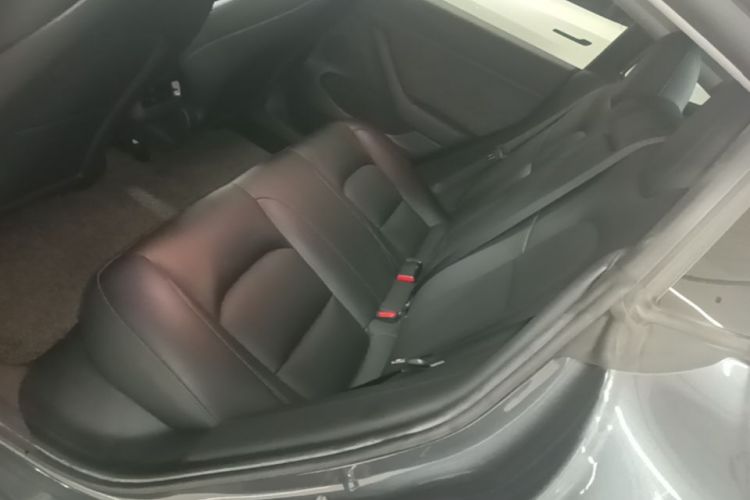 Tesla Model 3 2021 #17 Tesla Model 3 2021 car image #17