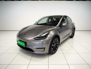 Tesla Model Y 2023 Tesla Model Y 2023 car image