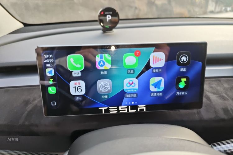 Tesla Model Y 2021 car image #13