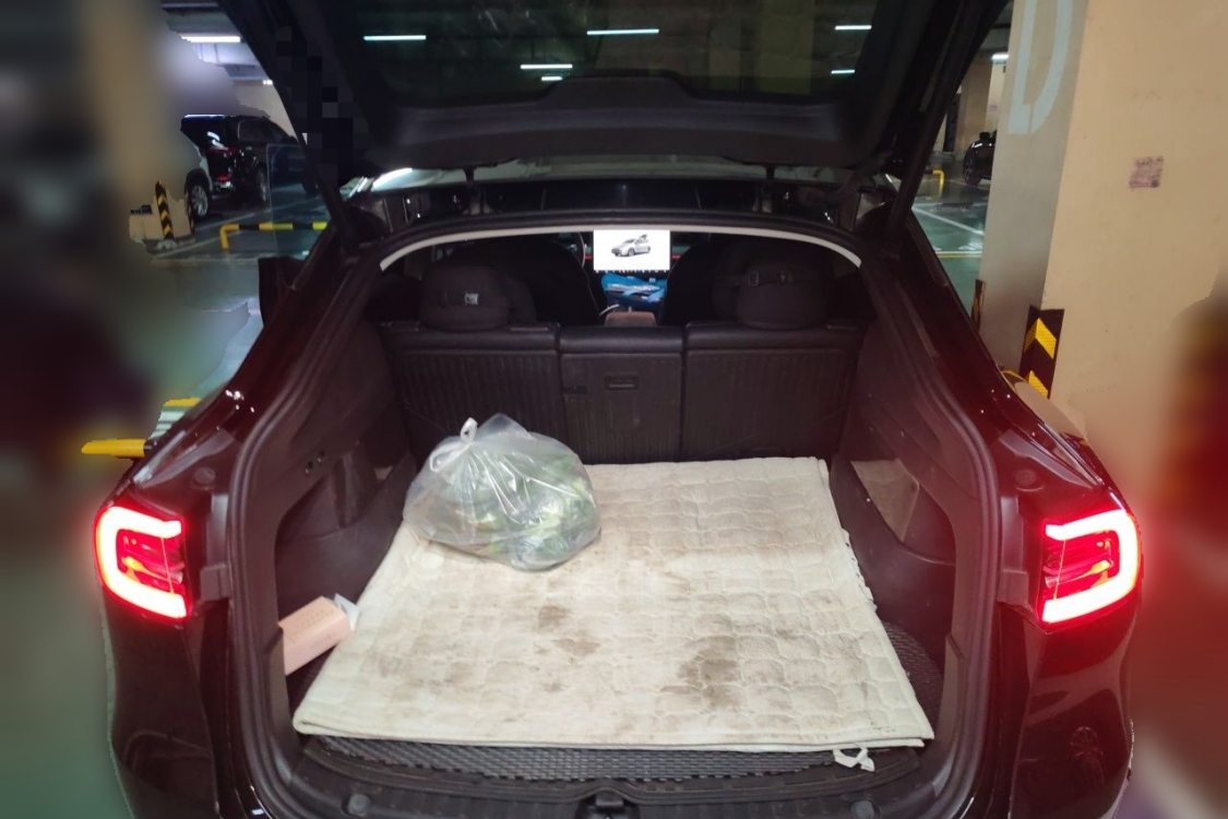 Tesla Model Y 2024 #8 Tesla Model Y 2024 immagine di auto #8