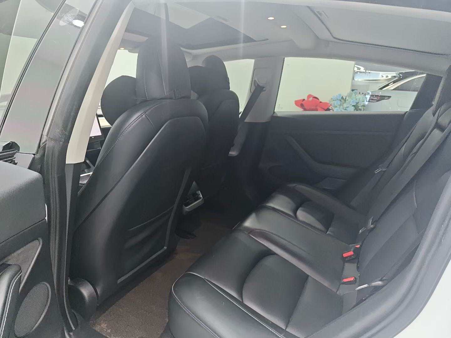 Tesla Model 3 2021 #8 Tesla Model 3 2021 car image #8
