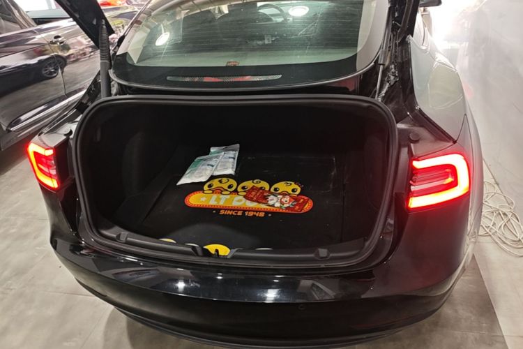Tesla Model 3 2021 immagine di auto #19