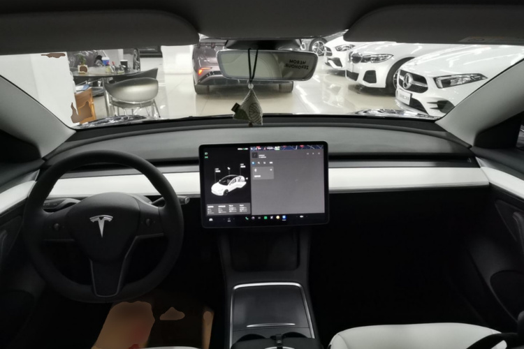 Tesla Model 3 2021 #10 Tesla Model 3 2021 immagine di auto #10