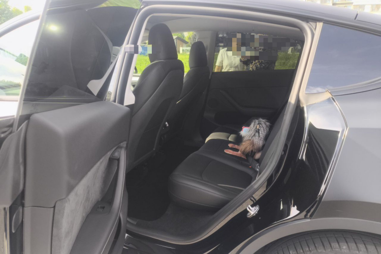 Tesla Model Y 2023 car image #14