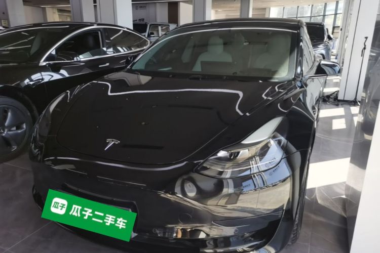 Tesla Model 3 2021 #2 Tesla Model 3 2021 car image #2