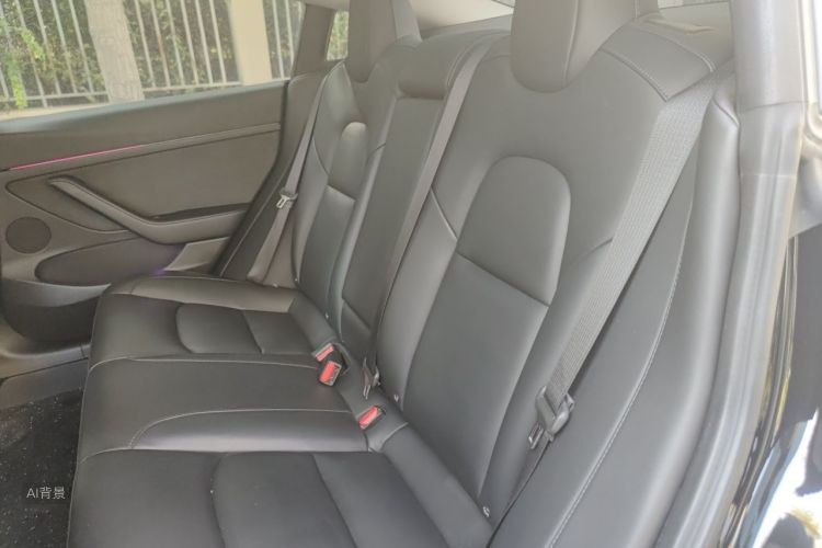 Tesla Model 3 2022 #19 Tesla Model 3 2022 car image #19