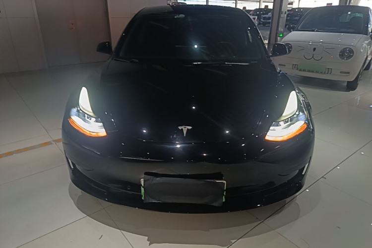 Tesla Model 3 2022 #3 Tesla Model 3 2022 car image #3
