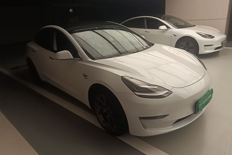Tesla Model 3 2020 car image #4