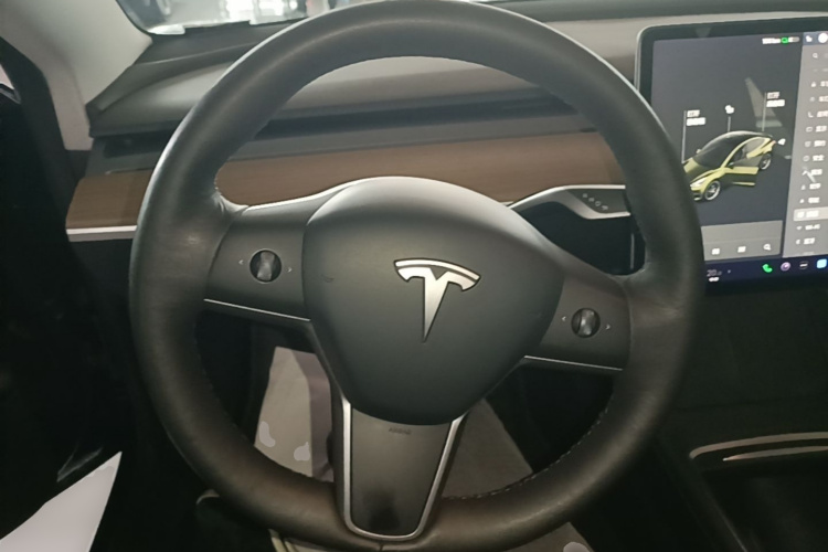 Tesla Model 3 2021 car image #11