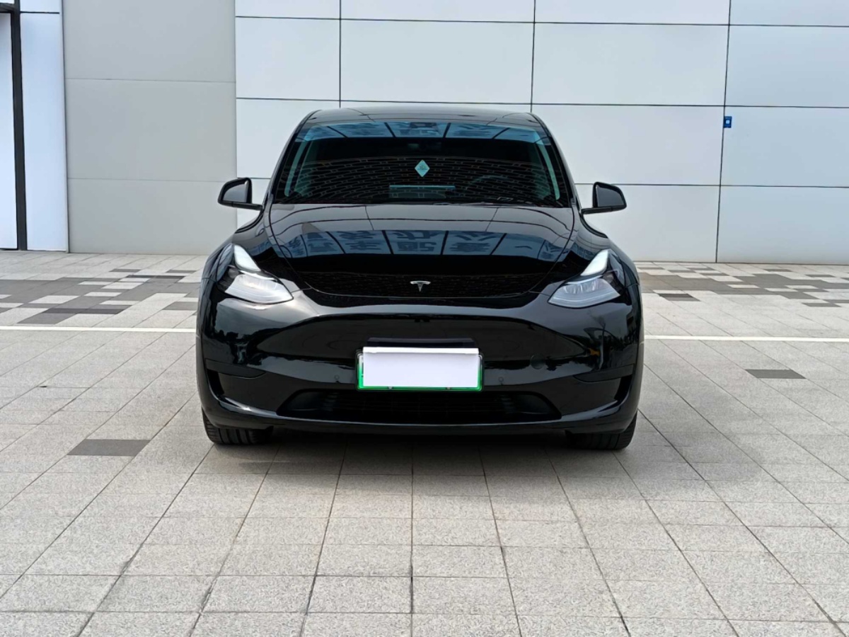 Tesla Model Y 2024 car image #2