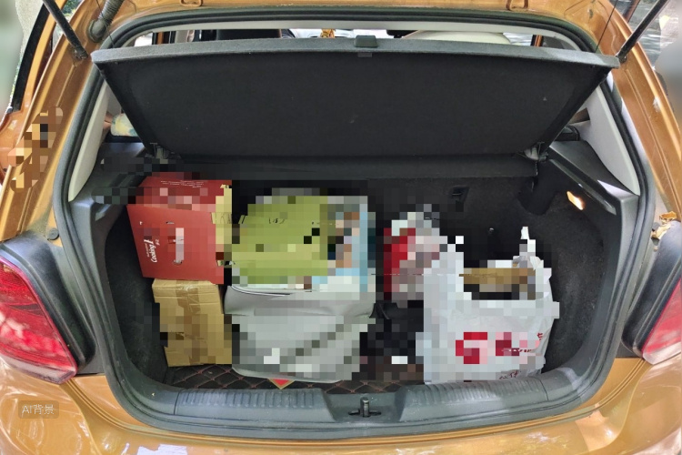 Volkswagen Polo 2016 car image #21