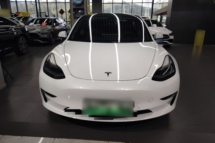 Tesla Model 3 2021 #3 Tesla Model 3 2021 car image #3