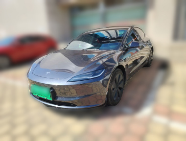 Tesla Model 3 2024 car image 