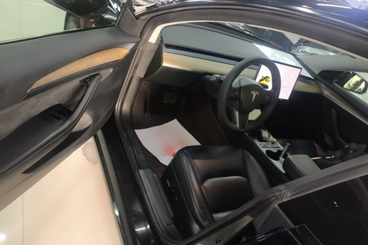 Tesla Model 3 2021 immagine di auto #12
