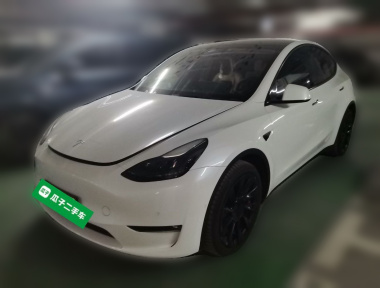 Tesla Model Y 2022 Tesla Model Y 2022 car image