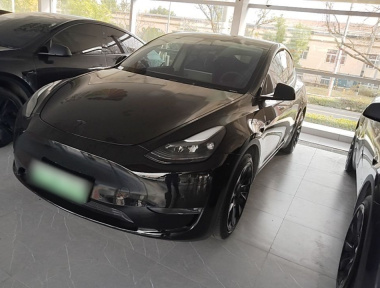 Tesla Model Y 2021 Tesla Model Y 2021 car image