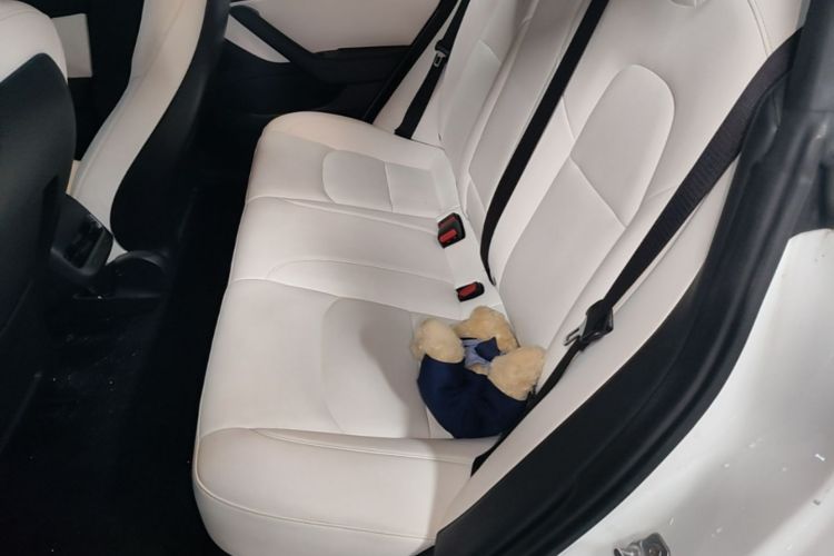 Tesla Model 3 2020 #13 Tesla Model 3 2020 car image #13