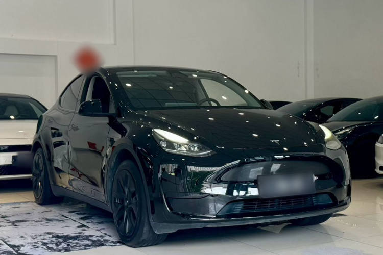 Tesla Model Y 2023 #12 Tesla Model Y 2023 car image #12