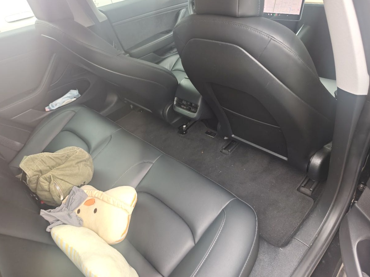 Tesla Model 3 2020 car image #4