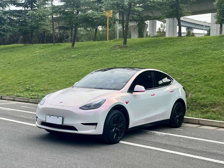 Tesla Model Y 2024 Tesla Model Y 2024 car image